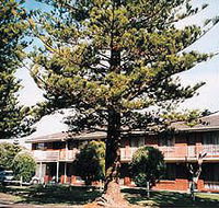 Eastern Beach Holiday Units - Accommodation Brunswick Heads