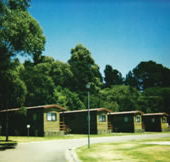 Katoomba Falls Caravan Park - Accommodation Brunswick Heads