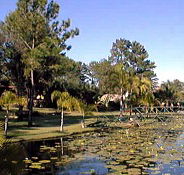 Twin Lakes Hotel - Accommodation Brunswick Heads