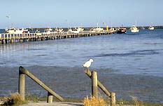 Port Macdonnell SA Accommodation Brunswick Heads