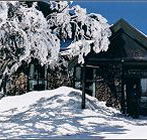 Arlberg Hotel Mt Buller - Accommodation Brunswick Heads