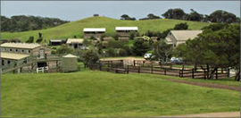 Ace Hi Riding Ranch - Accommodation Brunswick Heads 0