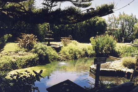Bayside Gardens - Accommodation Brunswick Heads 0
