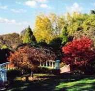 Edgelinks Bed And Breakfast - Accommodation Brunswick Heads