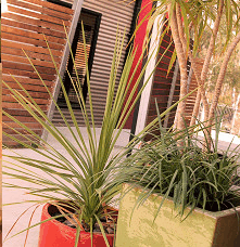 Adelphi Apartments - Accommodation Brunswick Heads 1