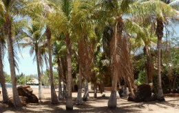 King Sound Resort Hotel - Accommodation Brunswick Heads