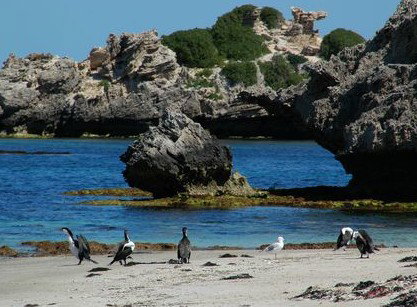 Beachside Apartment Hotel - Accommodation Brunswick Heads 2