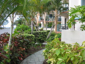 Pacific Place Apartments - Accommodation Brunswick Heads 5