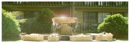 Best Western Tall Trees Motel - Accommodation Brunswick Heads 2
