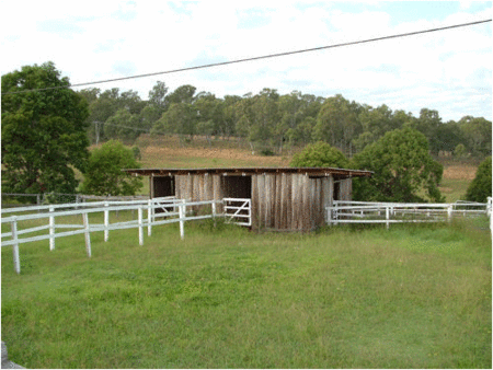 Jacaranda Motor Lodge - Accommodation Brunswick Heads 1