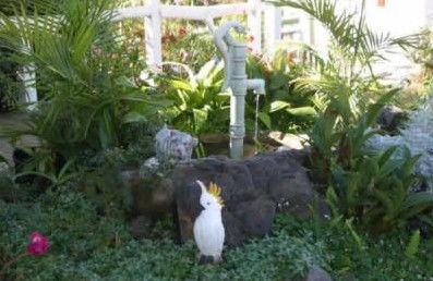 Kingfisher Motel - Accommodation Brunswick Heads 3