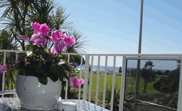 Beach Park Motor Inn - Accommodation Brunswick Heads 3