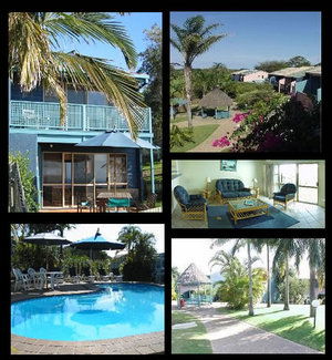 Pandanus Palms Resort - Accommodation Brunswick Heads 1