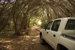 Nampara Cabins - Accommodation Brunswick Heads 1