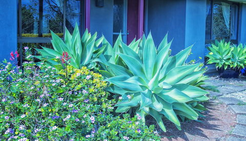 Possum Creek Lodge - Accommodation Brunswick Heads 2