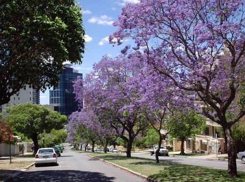 Mountway Holiday Apartments - Accommodation Brunswick Heads 3