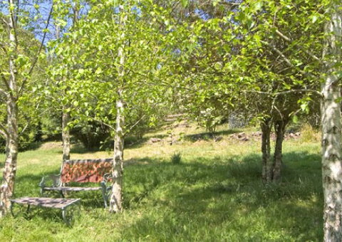 Tomah Mountain Lodge - Accommodation Brunswick Heads 2