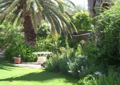 Nthaba Cottage - Accommodation Brunswick Heads 0