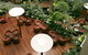 Novotel Atrium Darwin - thumb 4