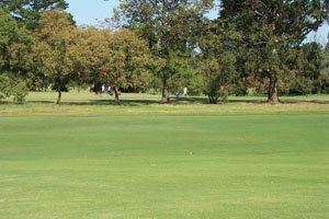 Beach Motor Inn - Accommodation Brunswick Heads 7