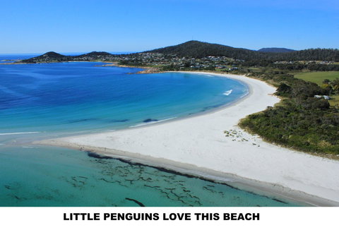 Diamond Island Resort - Accommodation Brunswick Heads 5