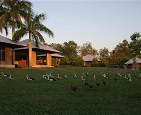 Feathers Sanctuary - Accommodation Brunswick Heads 0
