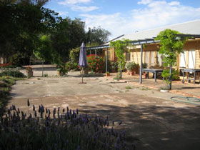 Peechabella Vineyards Bed & Breakfast - Accommodation Brunswick Heads 0