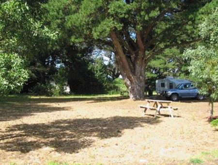 Millicent Hillview Caravan Park - Accommodation Brunswick Heads 1