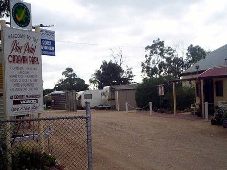 Pine Point Caravan Park - Accommodation Brunswick Heads 2