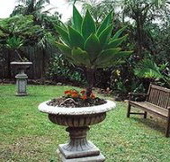 Bangalow Retreat - Accommodation Brunswick Heads