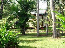 Virginia Heliconia Farm - Accommodation Brunswick Heads 3