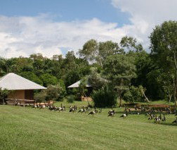 Feathers Sanctuary - Accommodation Brunswick Heads 3