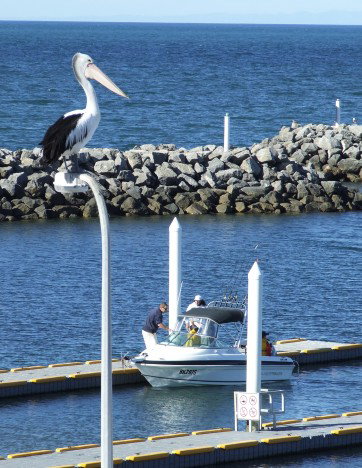 Edithburgh Caravan Park - Accommodation Brunswick Heads 6