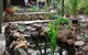 Kooringal Homestead - thumb 6