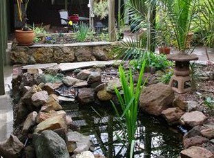 Kooringal Homestead - Accommodation Brunswick Heads 6