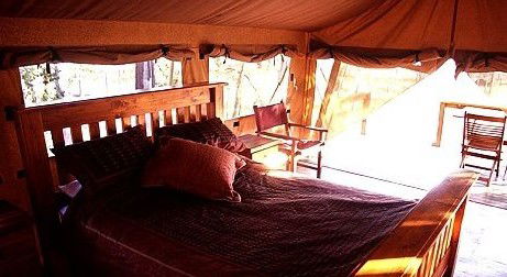 Jabiru Safari Lodge At Mareeba Wetlands - Accommodation Brunswick Heads 1