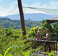 Rose Gums Wilderness Retreat - Accommodation Brunswick Heads