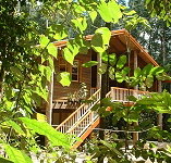 Rivers Edge Rainforest Retreat - Accommodation Brunswick Heads