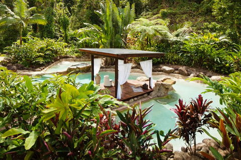 Misty Mountains Tropical Rainforest Romantic Retreat - Accommodation Brunswick Heads 3