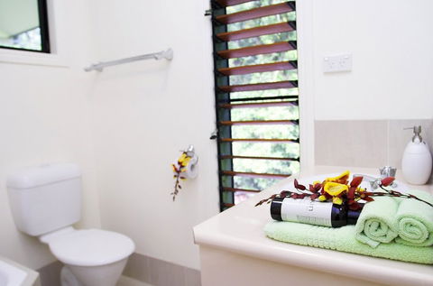 Misty Mountains Tropical Rainforest Romantic Retreat - Accommodation Brunswick Heads 5