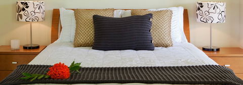 Misty Mountains Tropical Rainforest Romantic Retreat - Accommodation Brunswick Heads 7
