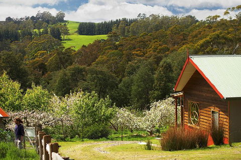 Elvenhome Farm Cottage - Accommodation Brunswick Heads 5