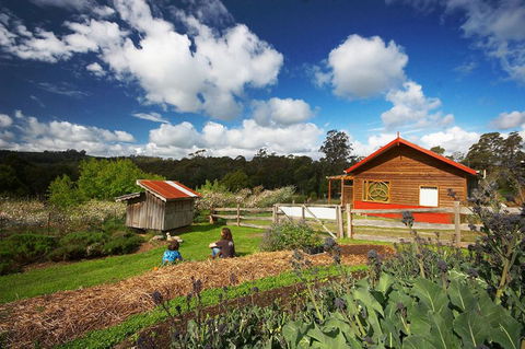Elvenhome Farm Cottage - Accommodation Brunswick Heads 6