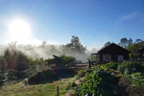 Elvenhome Farm Cottage - Accommodation Brunswick Heads 9