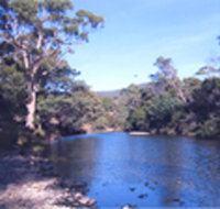Douglas River Cabin - Accommodation Brunswick Heads