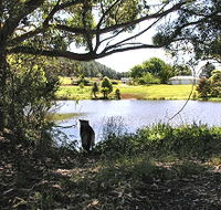 Newry Park Cottage - Accommodation Brunswick Heads