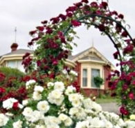 Golden Embers Apartments and B and B - Accommodation Brunswick Heads