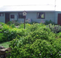 Engadine Cottage - Accommodation Brunswick Heads
