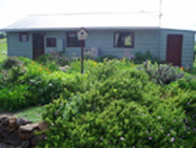 Engadine Cottage - Accommodation Brunswick Heads 0