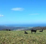 St Marys Seaview Farm - Accommodation Brunswick Heads